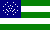 NYPD Flag